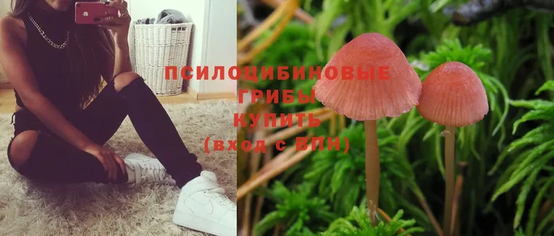 Галлюциногенные грибы Magic Shrooms  Купино 